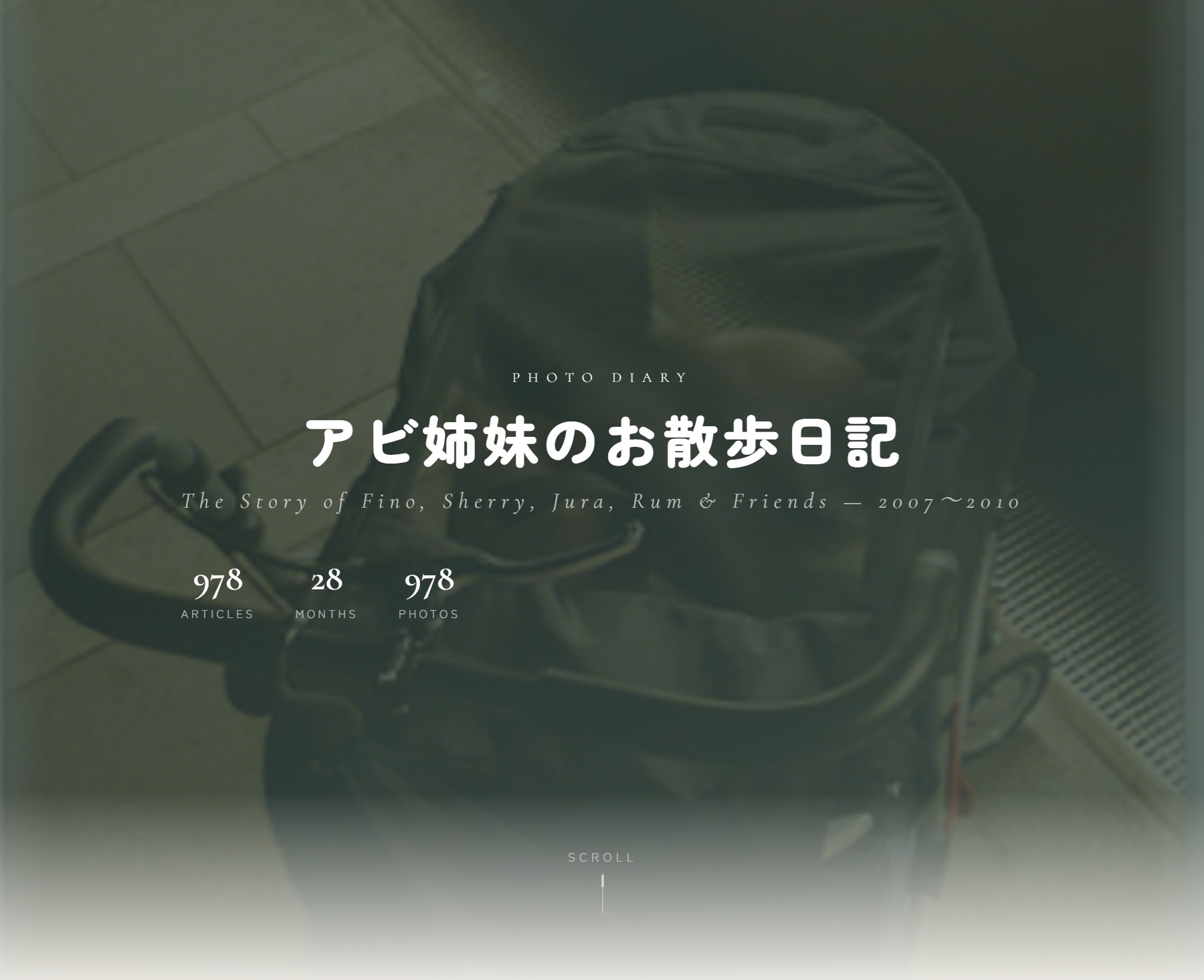 アビ姉妹のお散歩日記 リフォーム後 ヒーロー