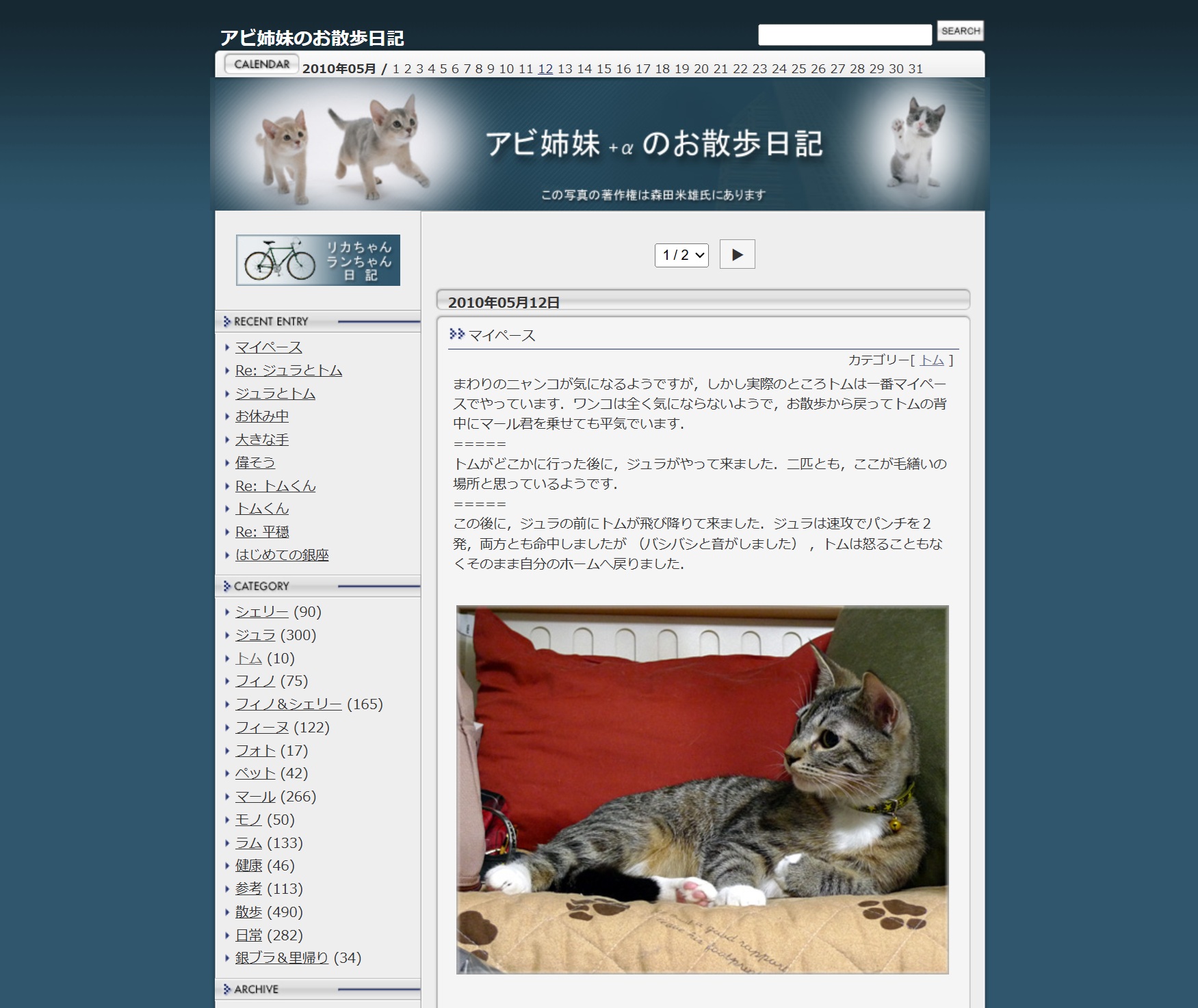 アビ姉妹のお散歩日記 リフォーム前